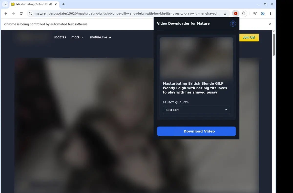 Mature Video Downloader showing detected media ready to download