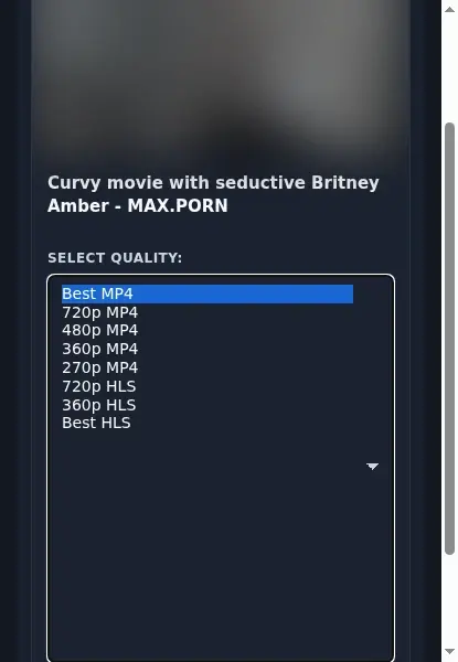 Max Porn Downloader format dropdown options