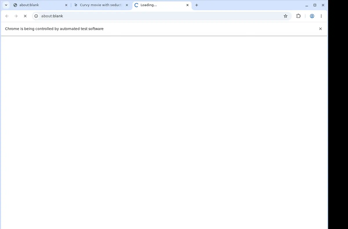 Max Porn Downloader page open in the browser