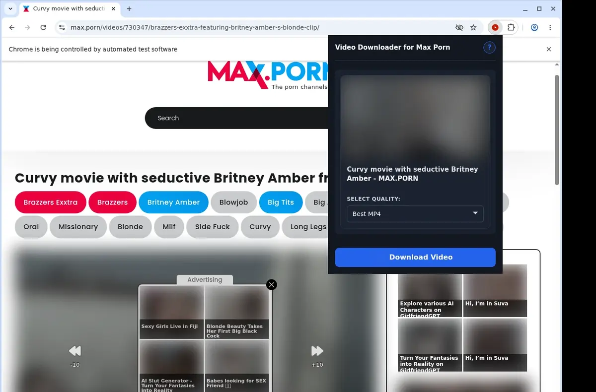 Max Porn Downloader showing detected media ready to download