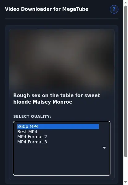 MegaTube Downloader format dropdown options