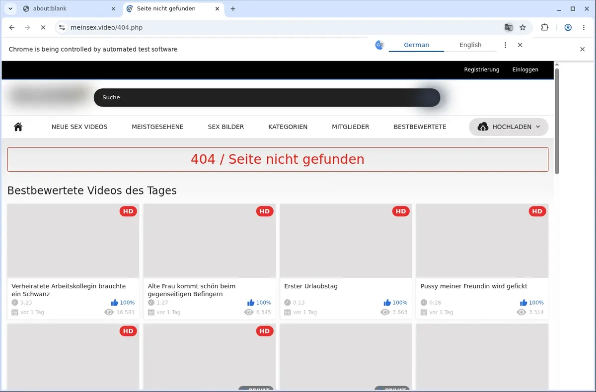 Meinsex Video Downloader page open in the browser