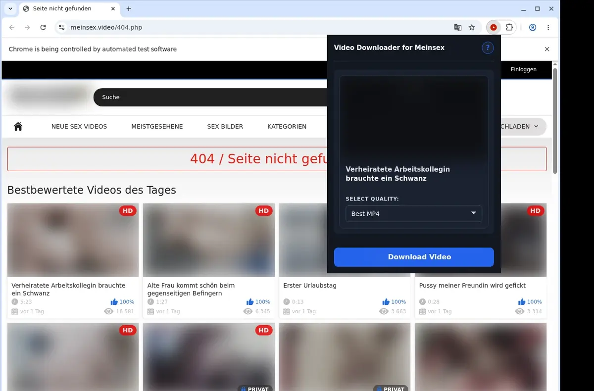 Meinsex Video Downloader showing detected media ready to download