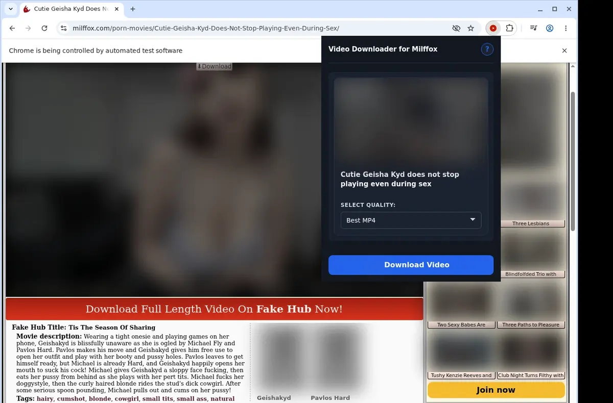 Milffox Video Downloader showing detected media ready to download