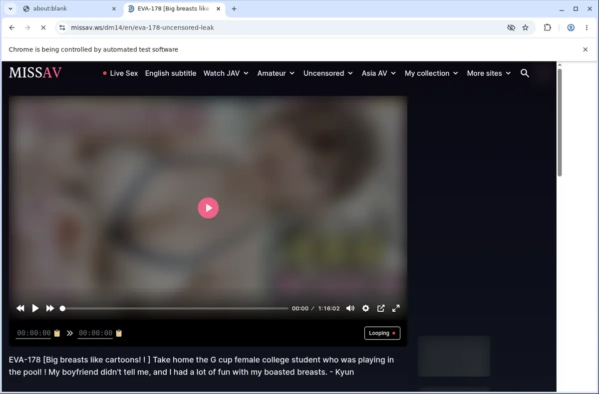 Missav Downloader page open in the browser