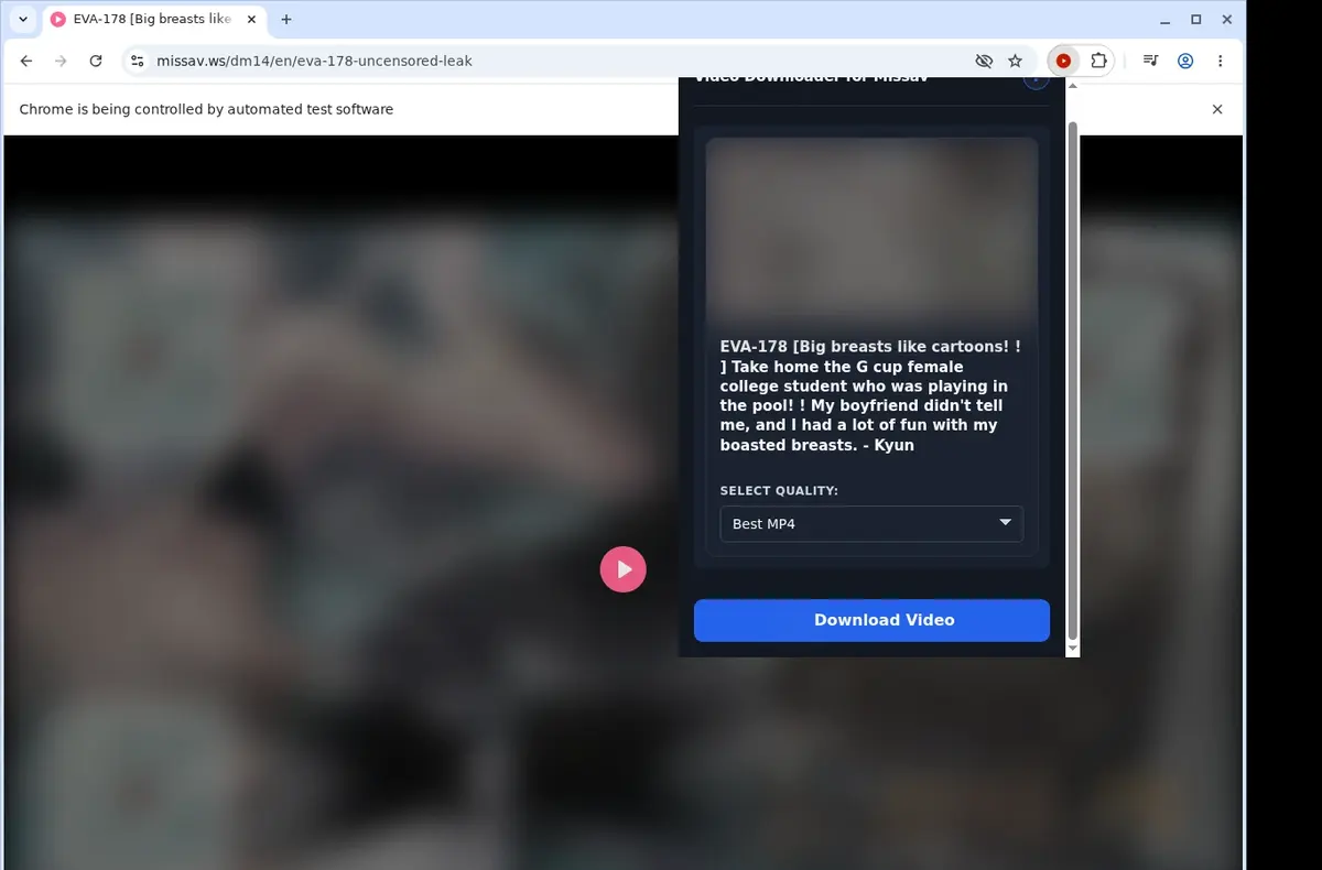 Missav Downloader showing detected media ready to download