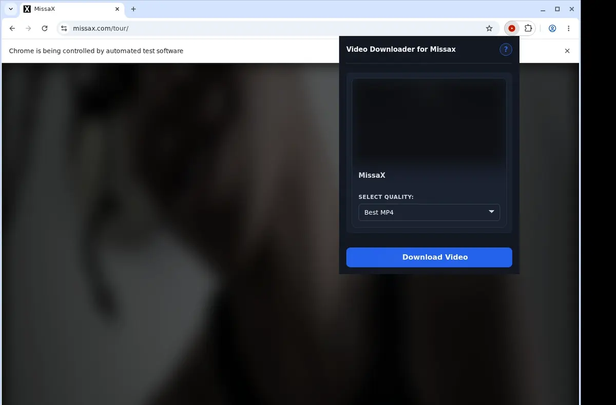 MissaX Downloader showing detected media ready to download