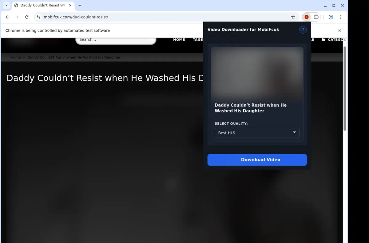 MobiFcuk Downloader showing detected media ready to download