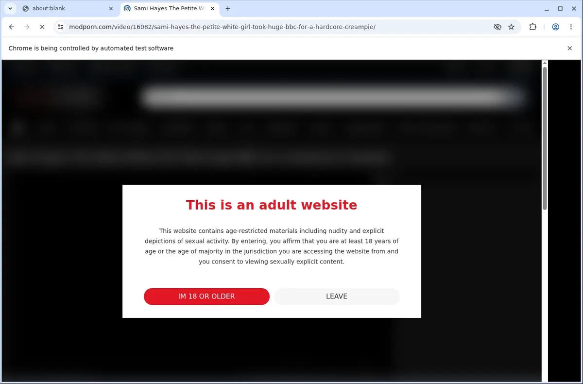ModPorn Downloader page open in the browser