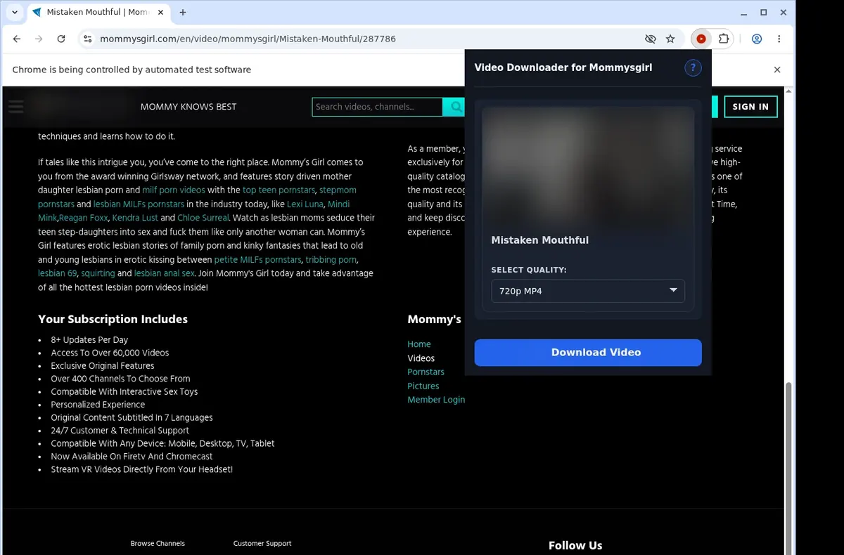 Mommy's Girl Video Downloader showing detected media ready to download