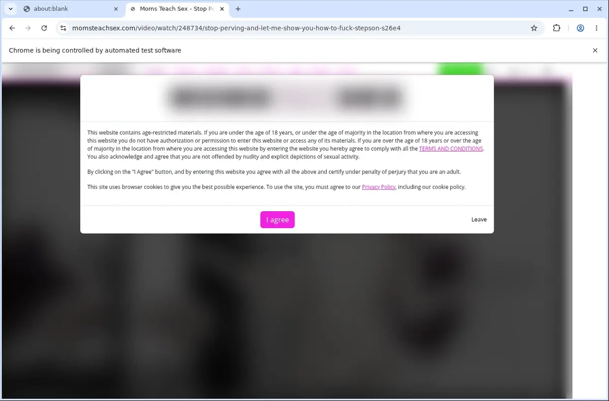 MomsTeachSex Video Downloader page open in the browser