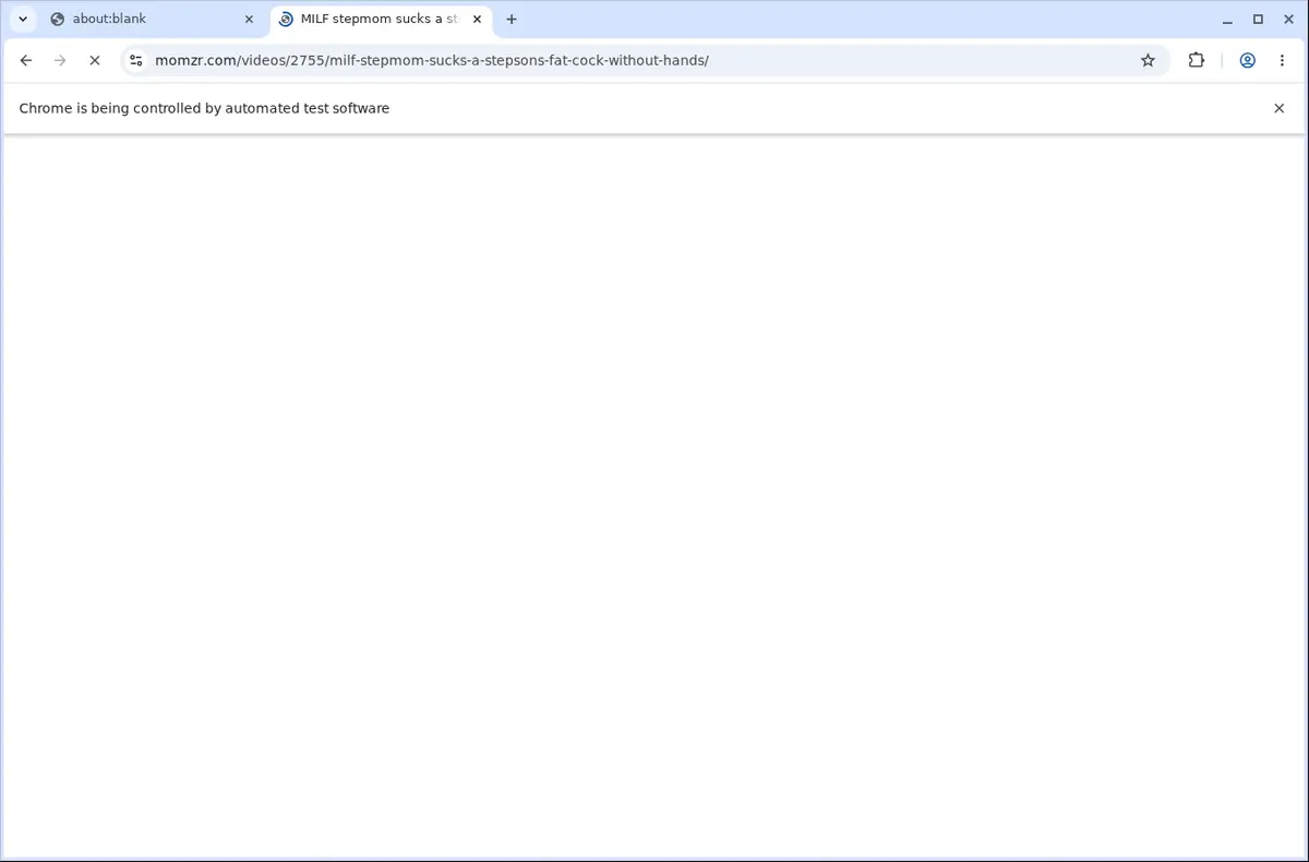 Momzr Video Downloader page open in the browser