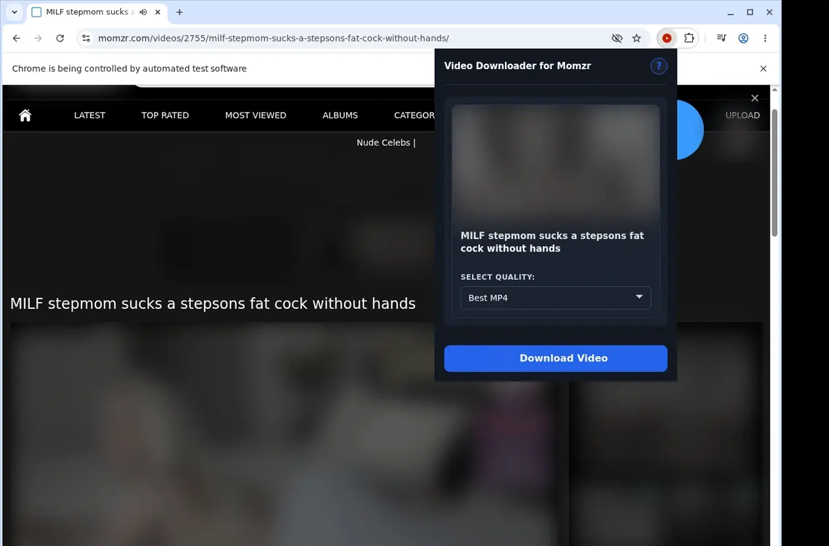 Momzr Video Downloader showing detected media ready to download
