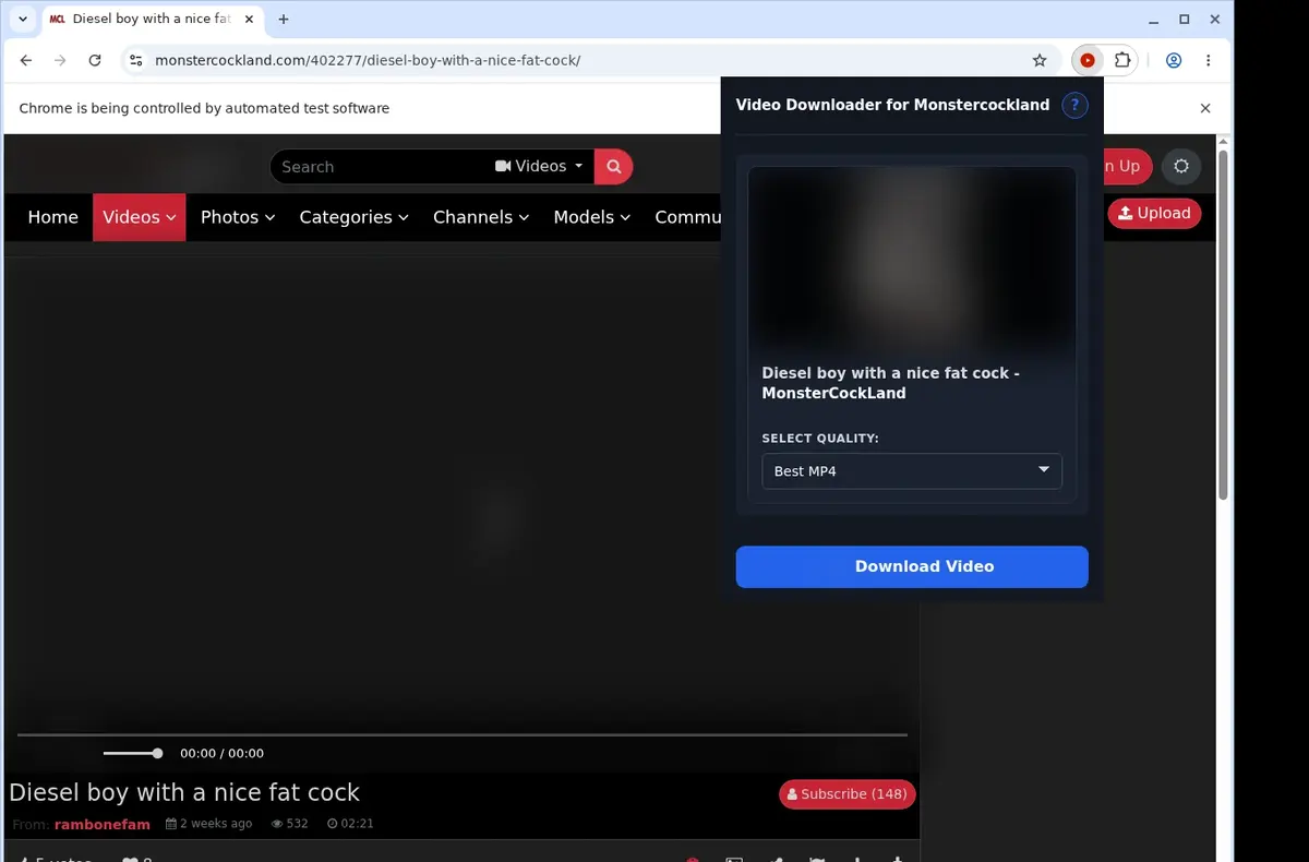 Monstercockland Downloader showing detected media ready to download