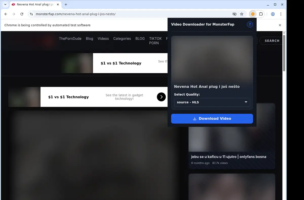 MonsterFap Downloader showing detected media ready to download