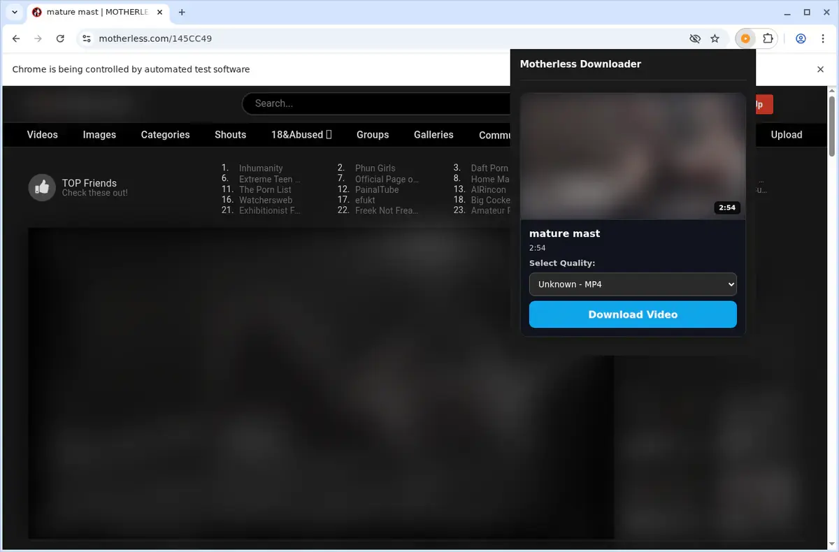 Motherless Downloader showing detected media ready to download