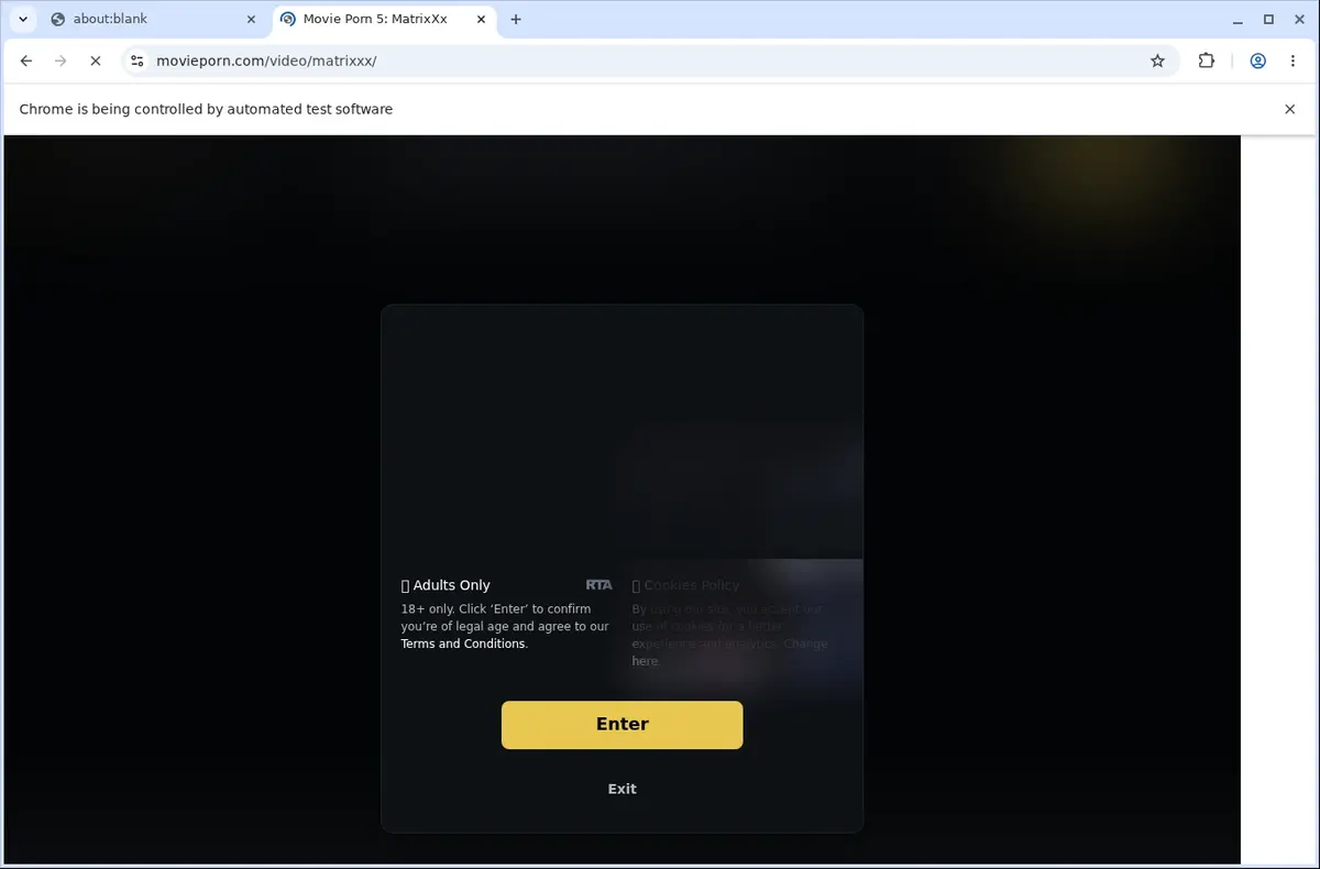 Movieporn Video Downloader page open in the browser