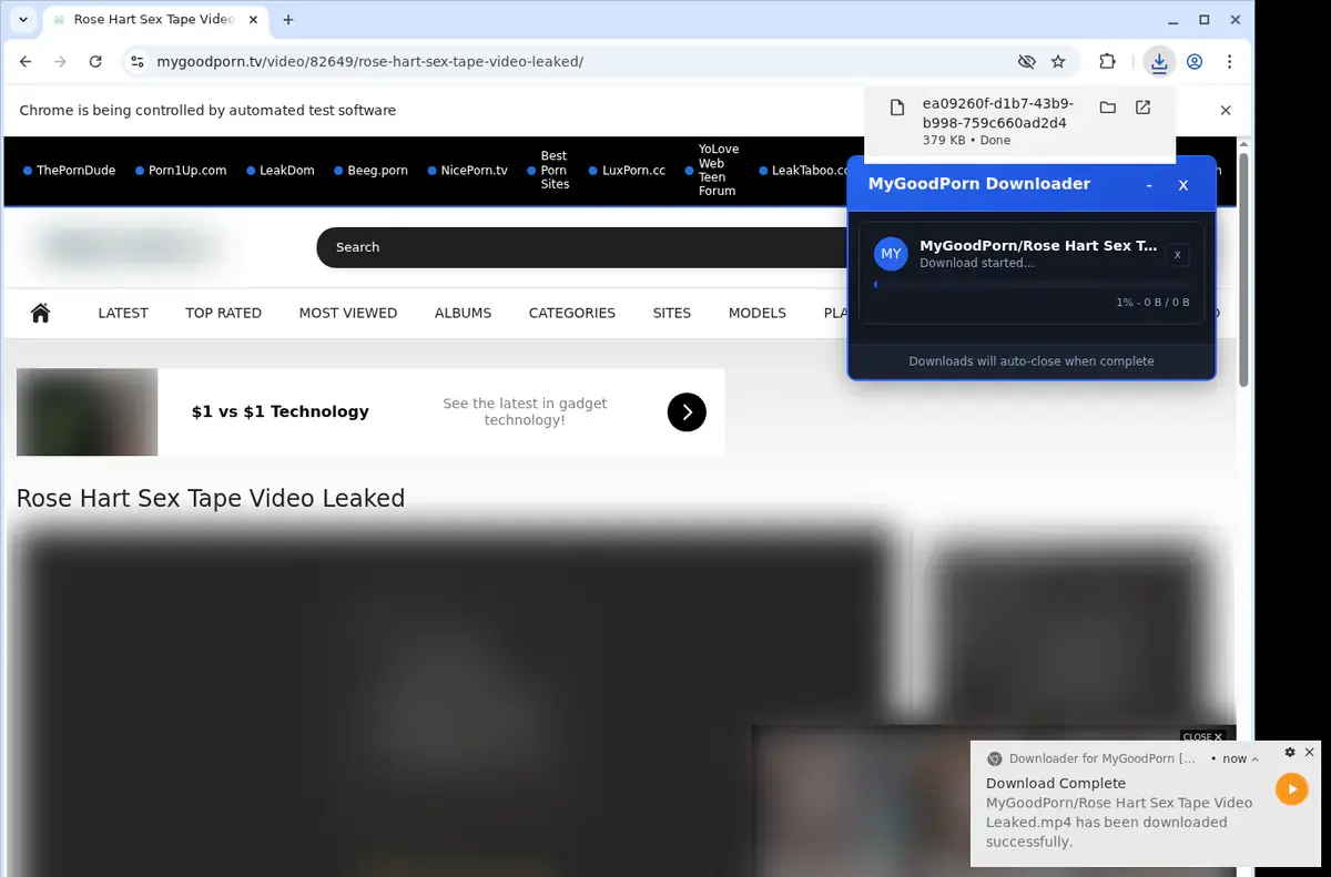 MyGoodPorn Downloader page open in the browser