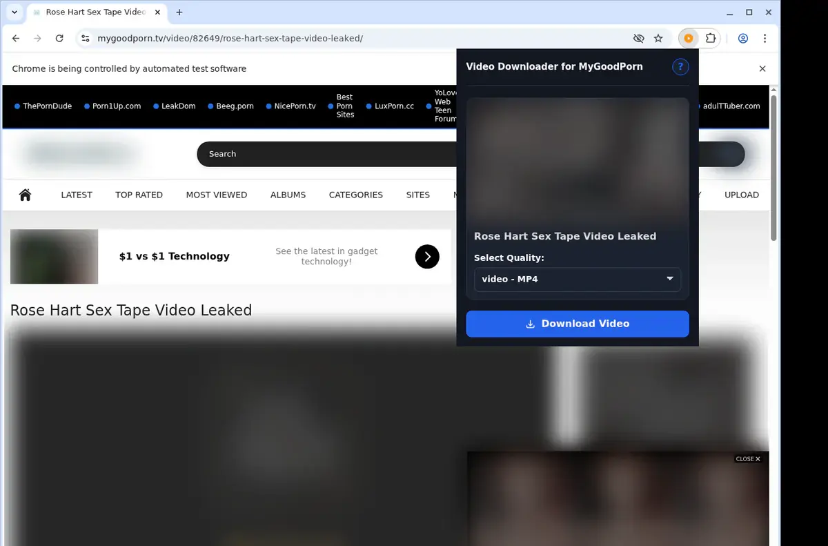 MyGoodPorn Downloader showing detected media ready to download