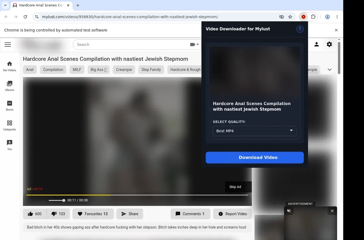 MyLust Downloader showing detected media ready to download