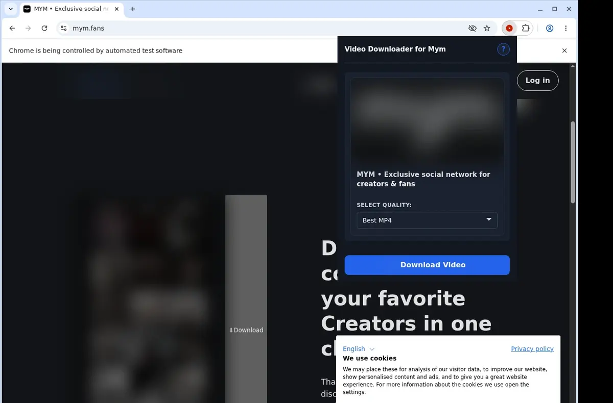 MYM Downloader showing detected media ready to download
