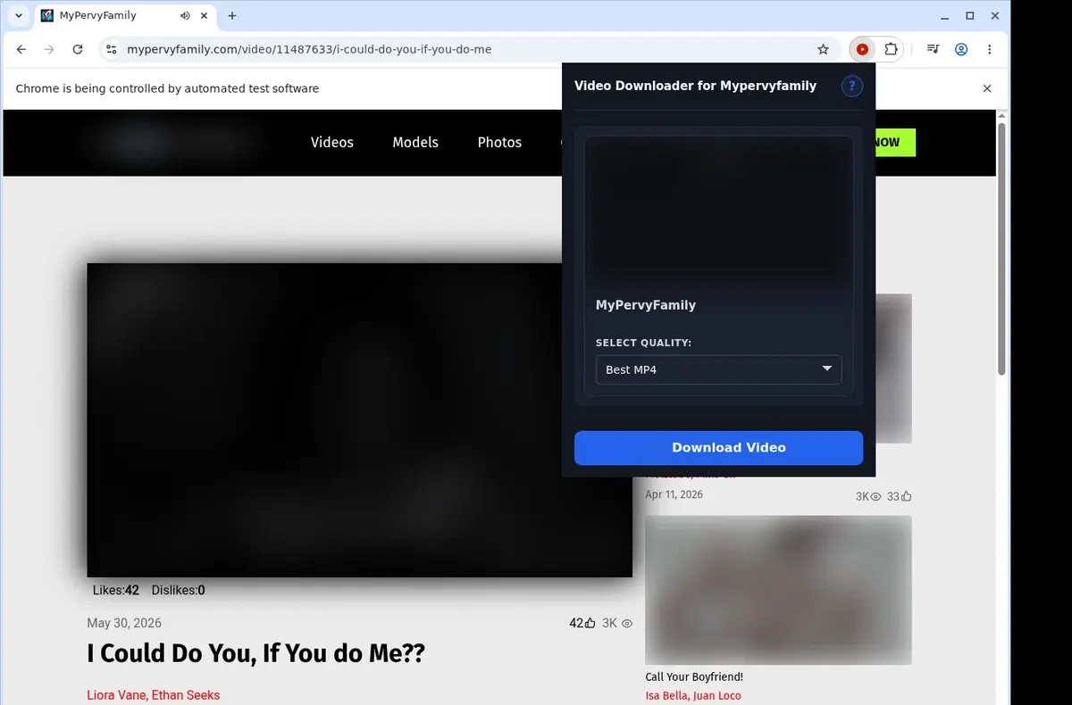 MyPervyFamily Video Downloader showing detected media ready to download