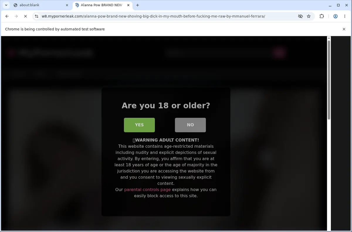 MyPornerLeak Downloader page open in the browser