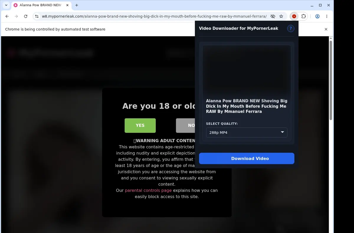 MyPornerLeak Downloader showing detected media ready to download