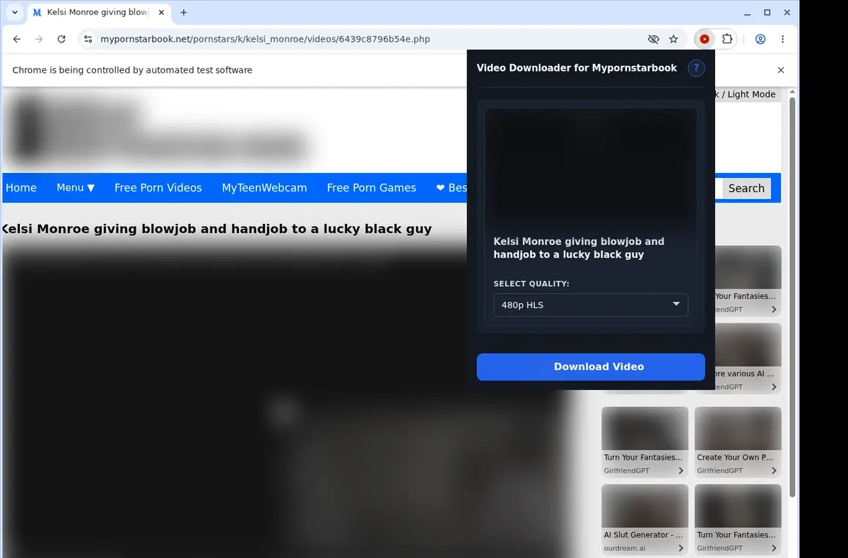 MyPornstarBook Video Downloader showing detected media ready to download