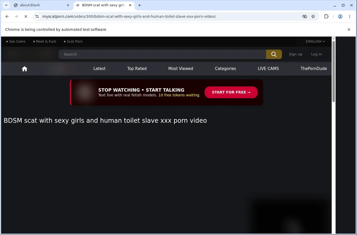 MyScatPorn Video Downloader page open in the browser