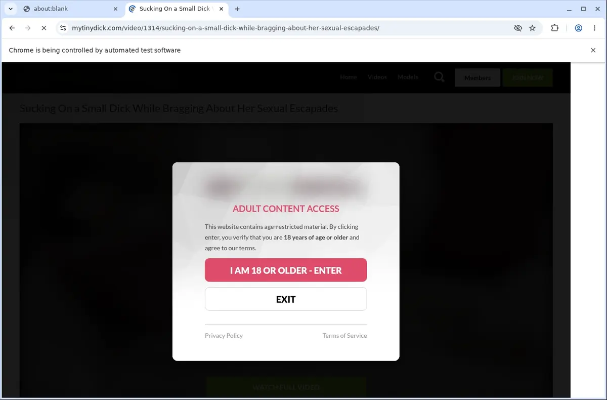 MyTinyDick Video Downloader page open in the browser