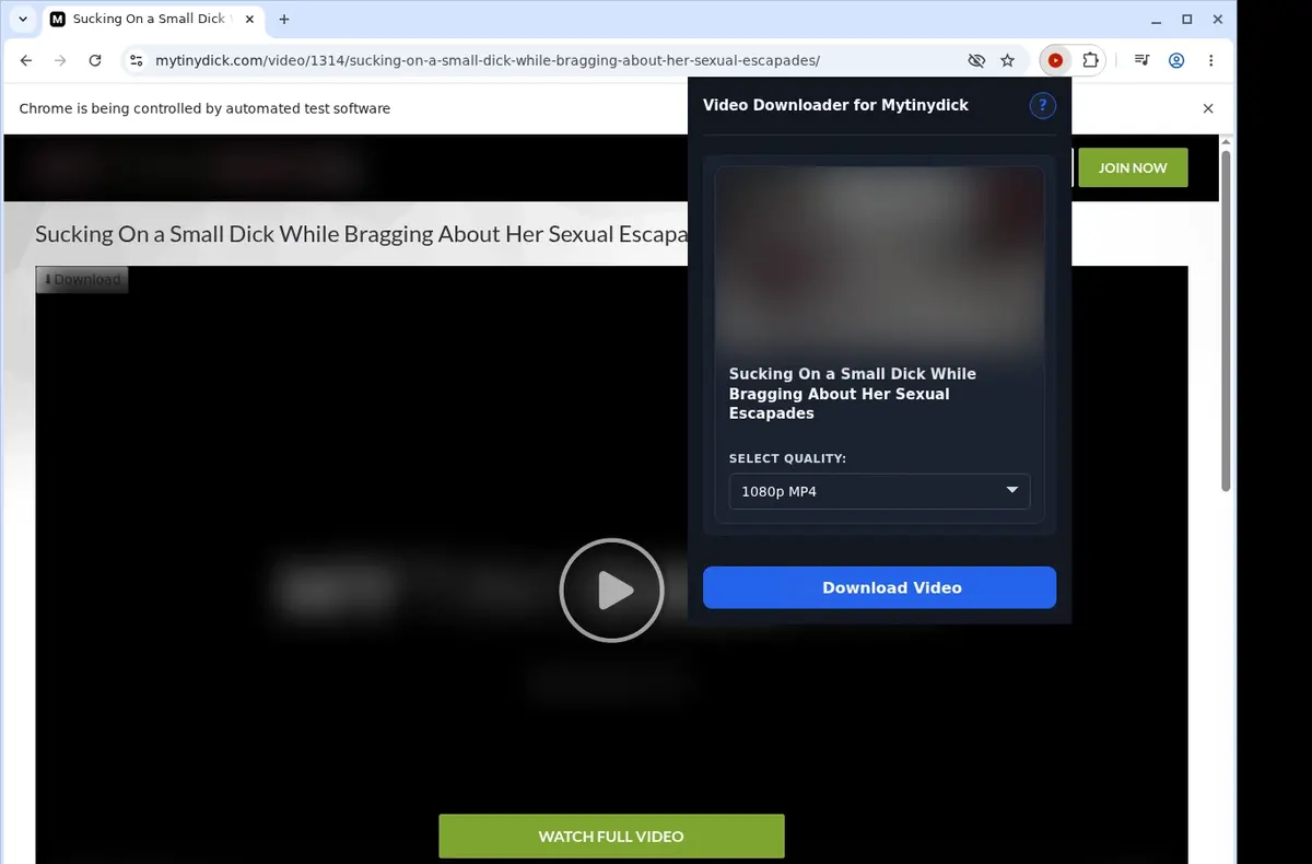 MyTinyDick Video Downloader showing detected media ready to download