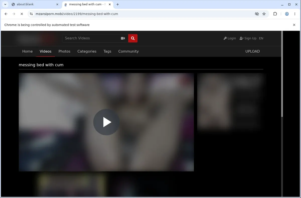 MzansiPorn Video Downloader page open in the browser