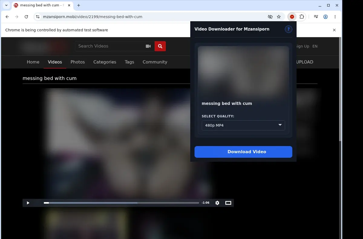 MzansiPorn Video Downloader showing detected media ready to download