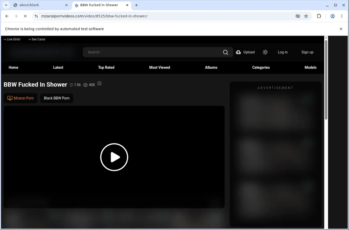 MzansiPornVideos Video Downloader page open in the browser