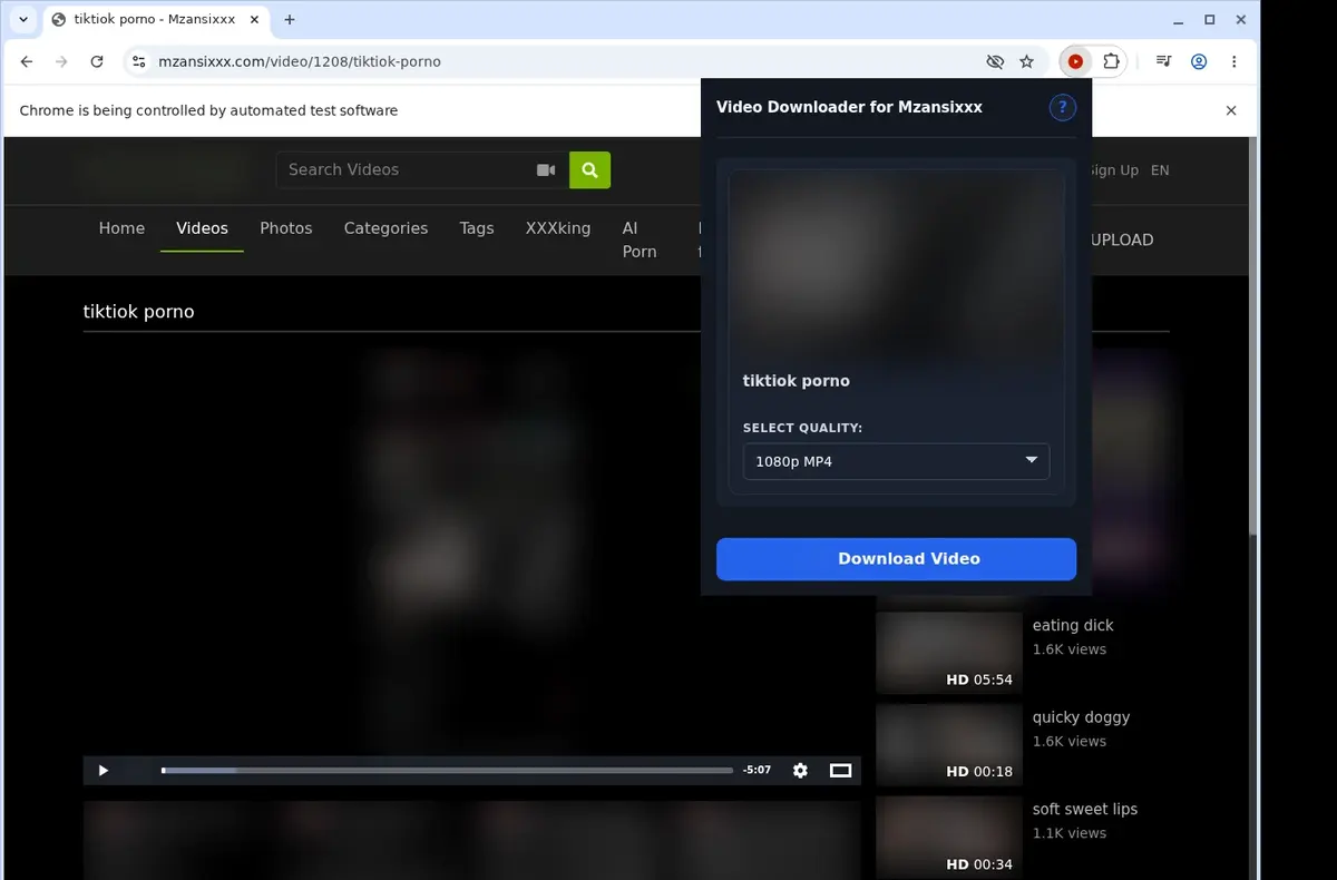 MzansiXXX Video Downloader showing detected media ready to download