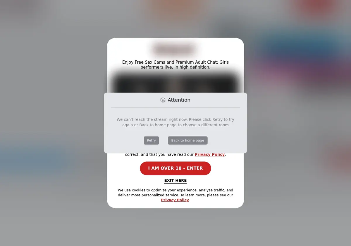 Naked Downloader showing detected media ready to download