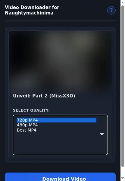 Naughty Machinima Video Downloader format dropdown options