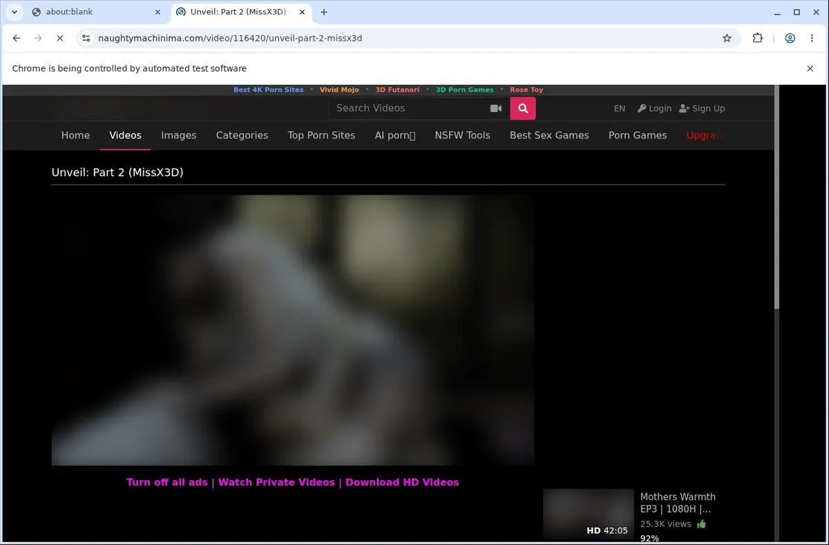Naughty Machinima Video Downloader page open in the browser