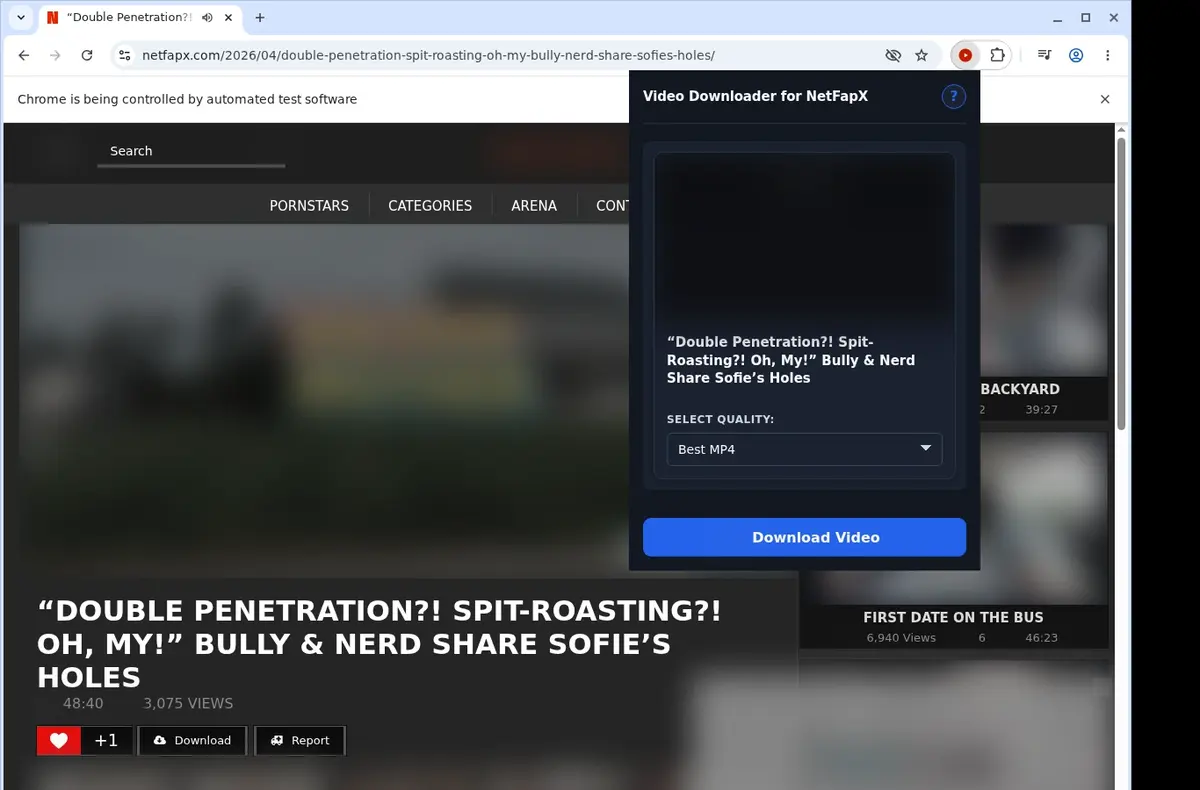 NetFapX Downloader showing detected media ready to download