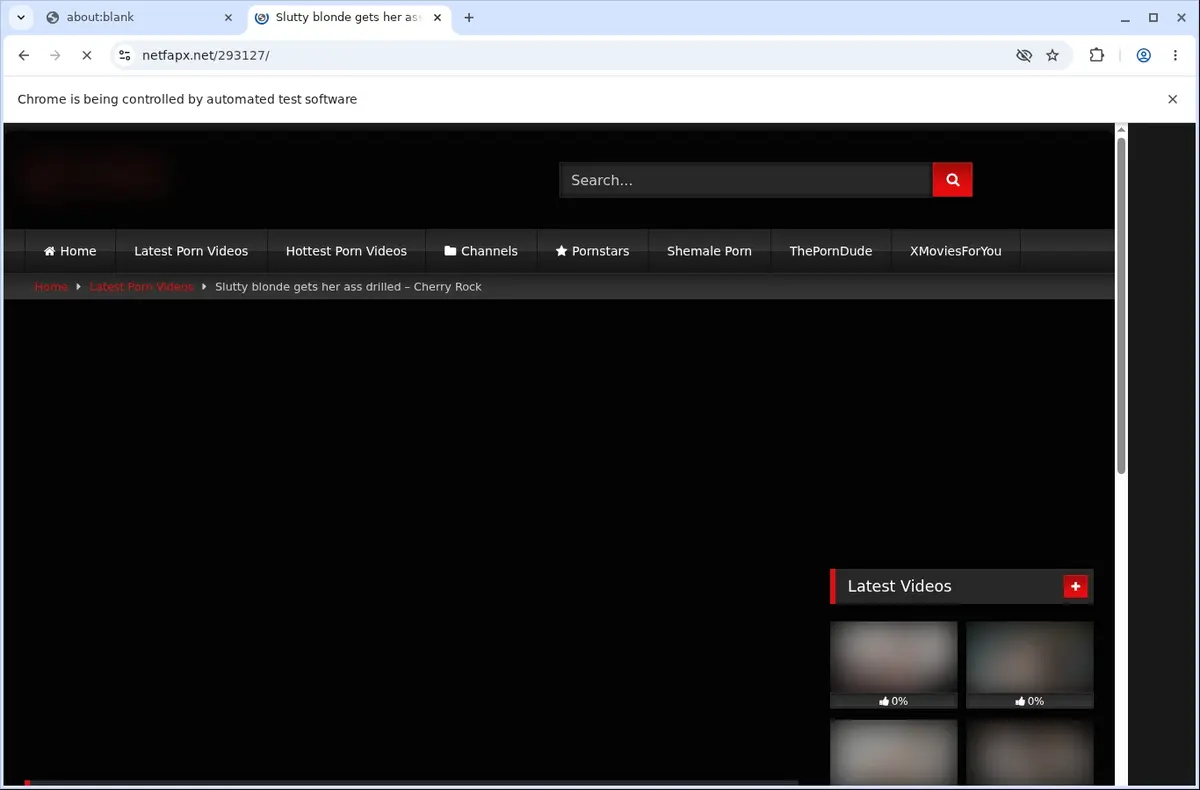 NetFapX.net Downloader page open in the browser