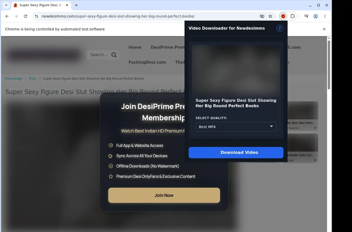 NewDesiMMS Video Downloader showing detected media ready to download