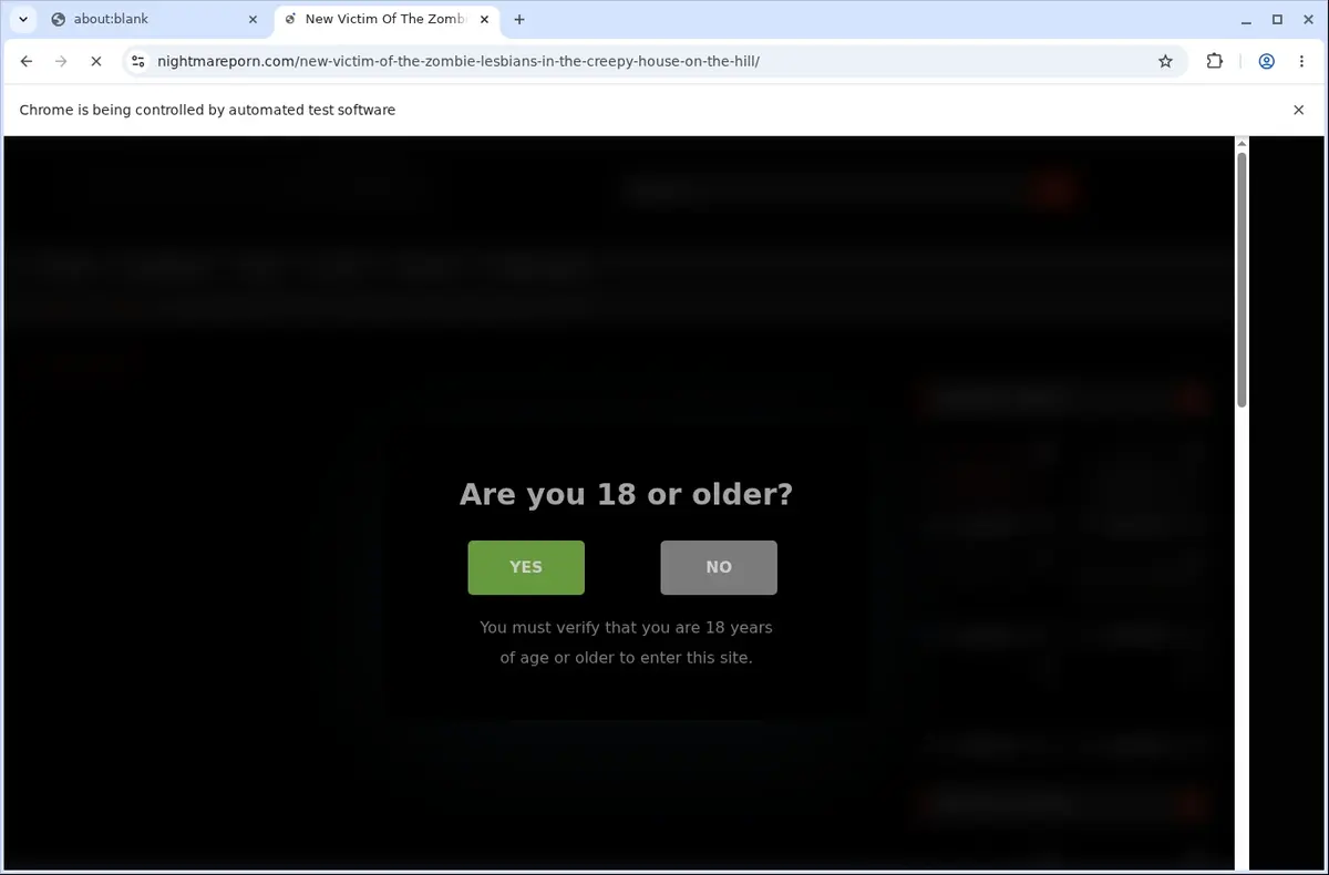NightmarePorn Video Downloader page open in the browser