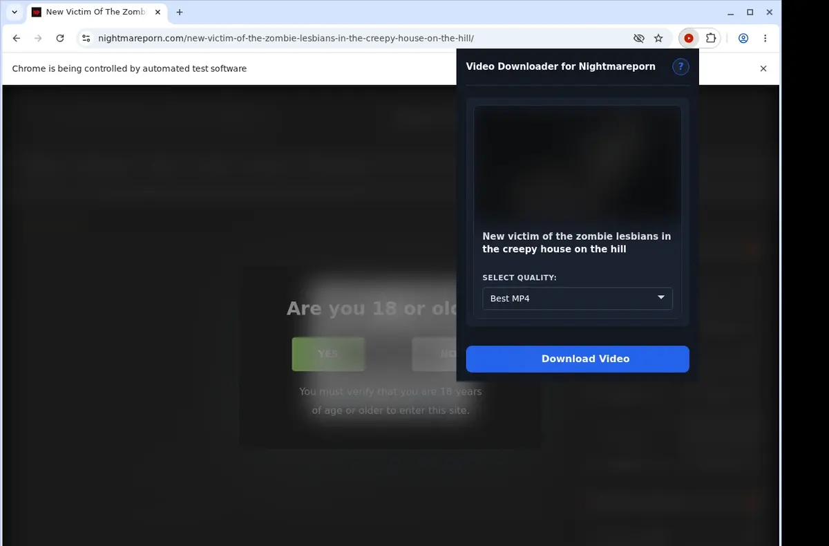 NightmarePorn Video Downloader showing detected media ready to download