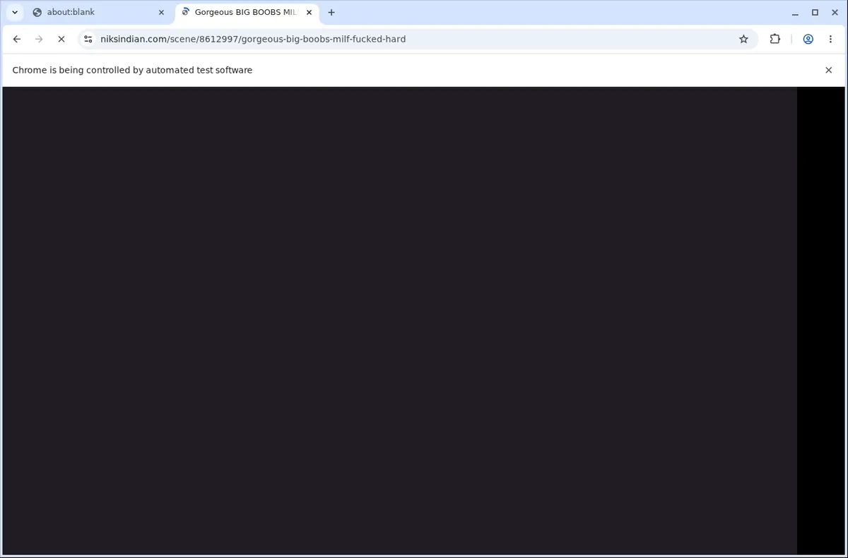 Niksindian Downloader page open in the browser
