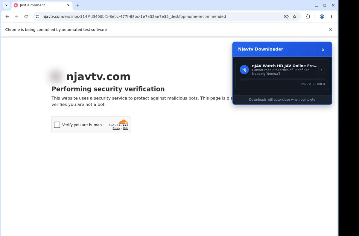 Njavtv Video Downloader showing detected media ready to download