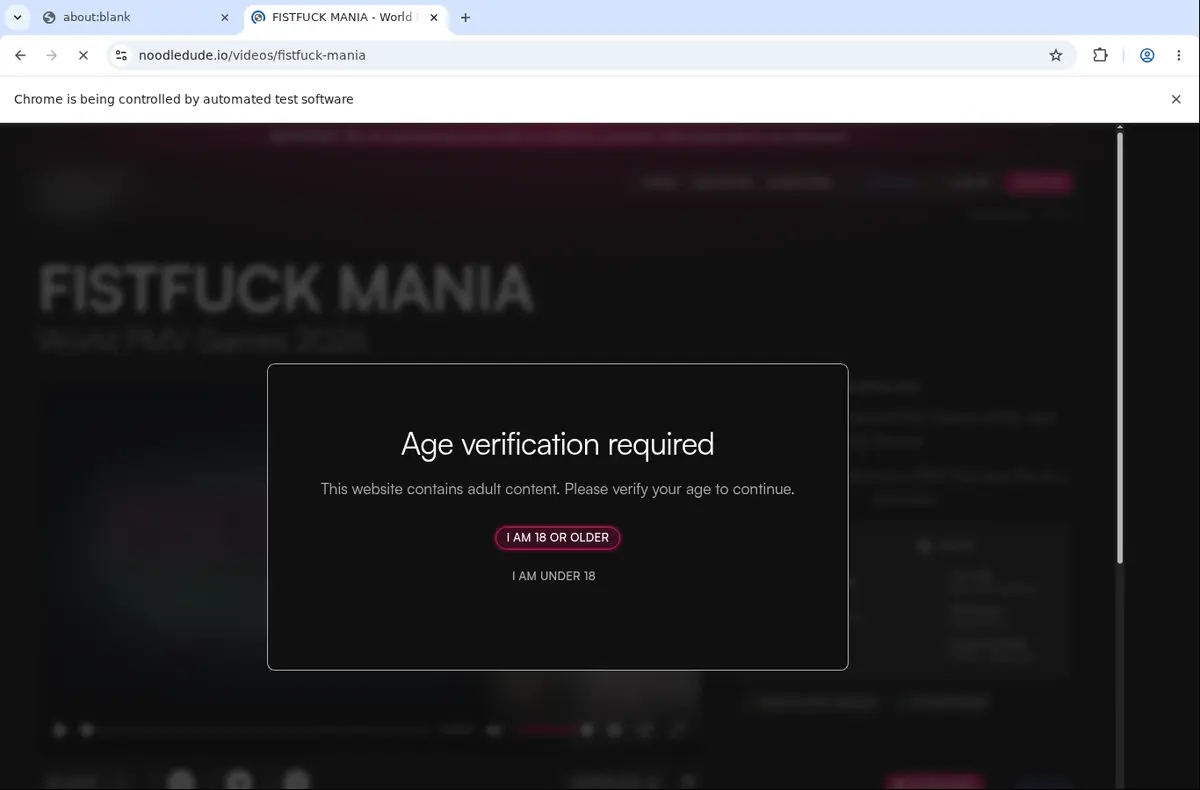 Noodledude Downloader page open in the browser