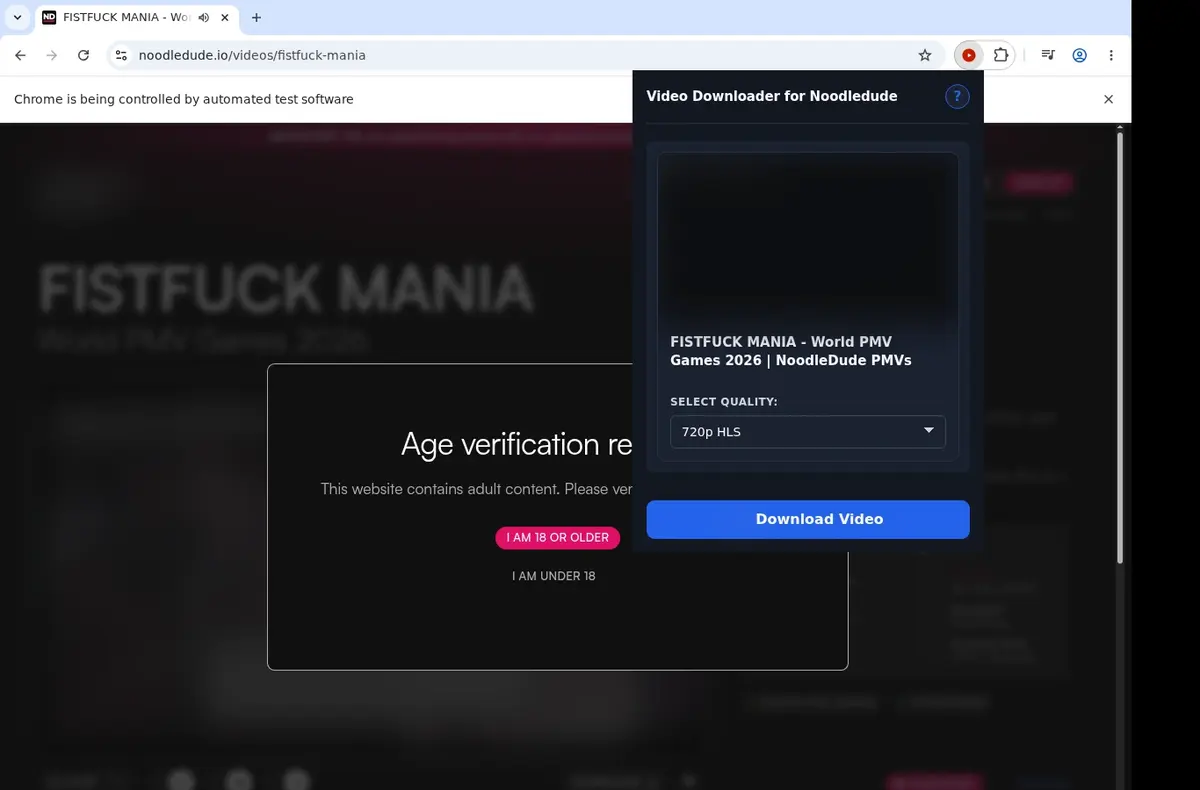 Noodledude Downloader showing detected media ready to download