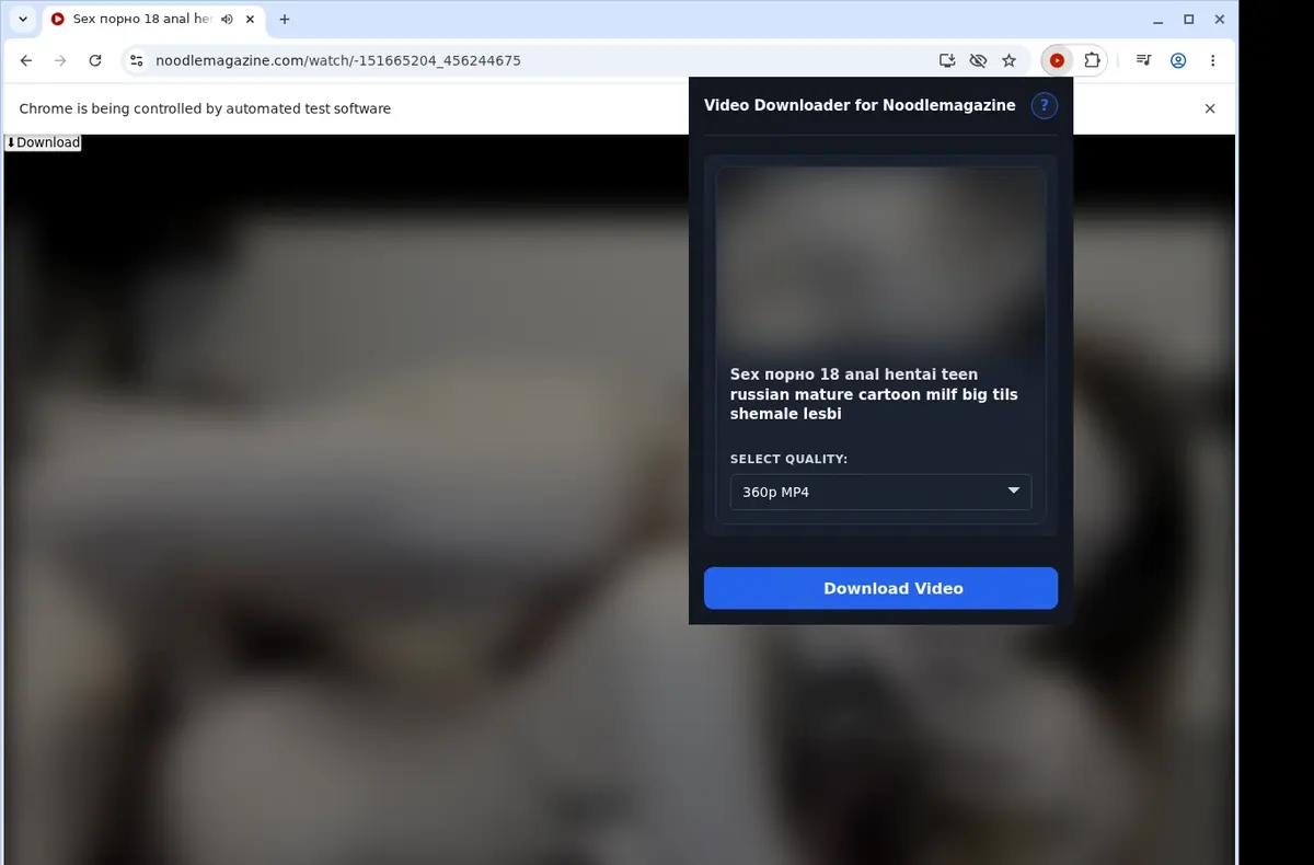 NoodleMagazine Video Downloader showing detected media ready to download