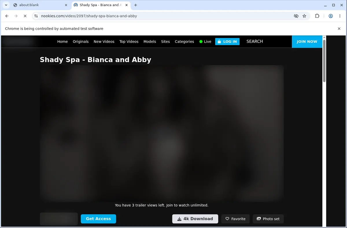 Nookies Video Downloader page open in the browser